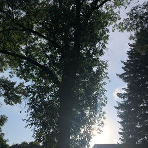 Meet your Posher, Waleska